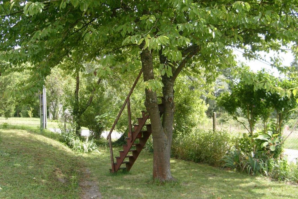 Petite Maison Au Bord Du Canal, 8' Zoo De Beauval, Pmr Нуае-сюр-Шер Экстерьер фото